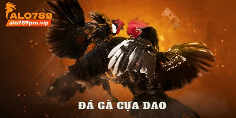 Da ga cua dao tai Alo789
