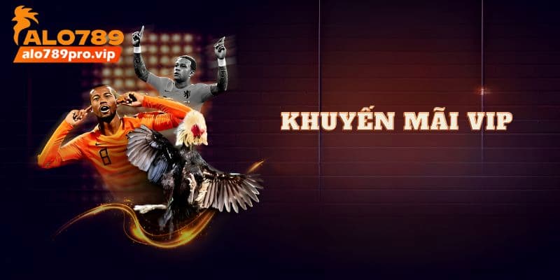 Khuyen mai VIP